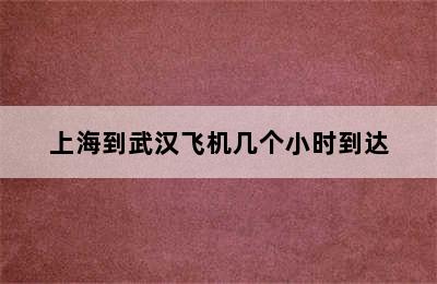 上海到武汉飞机几个小时到达