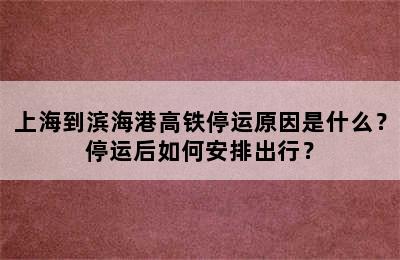上海到滨海港高铁停运原因是什么？停运后如何安排出行？