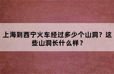 上海到西宁火车经过多少个山洞？这些山洞长什么样？