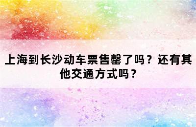 上海到长沙动车票售罄了吗？还有其他交通方式吗？
