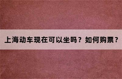 上海动车现在可以坐吗？如何购票？