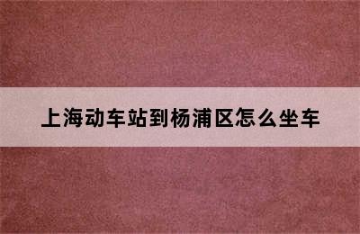 上海动车站到杨浦区怎么坐车