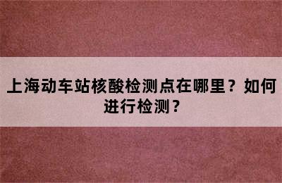 上海动车站核酸检测点在哪里？如何进行检测？