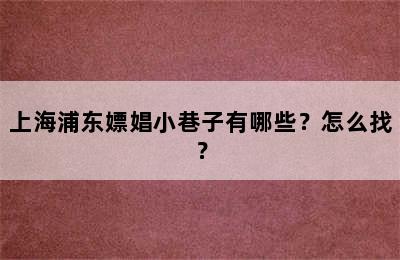 上海浦东嫖娼小巷子有哪些？怎么找？