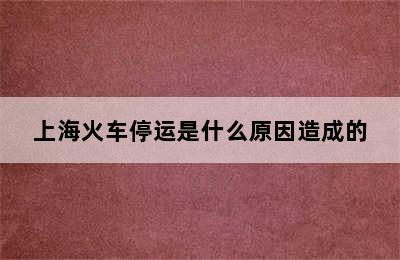 上海火车停运是什么原因造成的