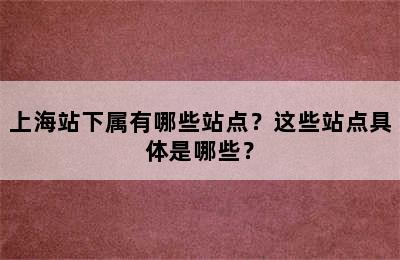 上海站下属有哪些站点？这些站点具体是哪些？