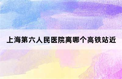 上海第六人民医院离哪个高铁站近