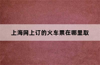 上海网上订的火车票在哪里取