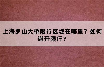 上海罗山大桥限行区域在哪里？如何避开限行？