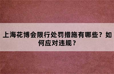 上海花博会限行处罚措施有哪些？如何应对违规？
