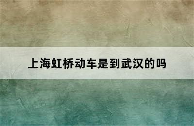 上海虹桥动车是到武汉的吗