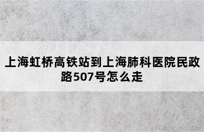 上海虹桥高铁站到上海肺科医院民政路507号怎么走