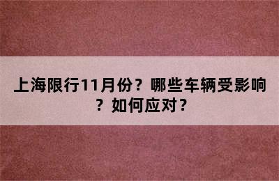 上海限行11月份？哪些车辆受影响？如何应对？