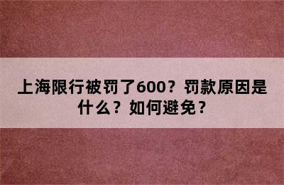 上海限行被罚了600？罚款原因是什么？如何避免？