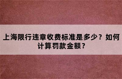 上海限行违章收费标准是多少？如何计算罚款金额？