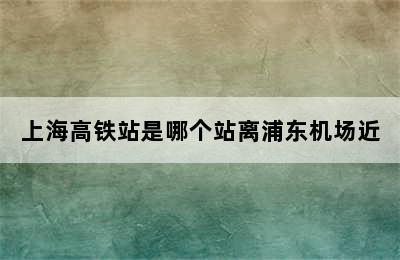 上海高铁站是哪个站离浦东机场近