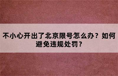 不小心开出了北京限号怎么办？如何避免违规处罚？