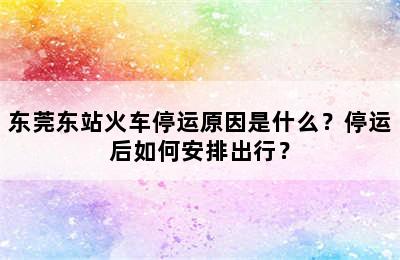 东莞东站火车停运原因是什么？停运后如何安排出行？