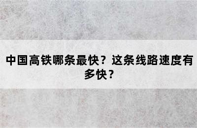 中国高铁哪条最快？这条线路速度有多快？