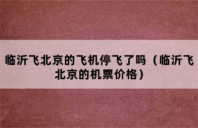 临沂飞北京的飞机停飞了吗（临沂飞北京的机票价格）