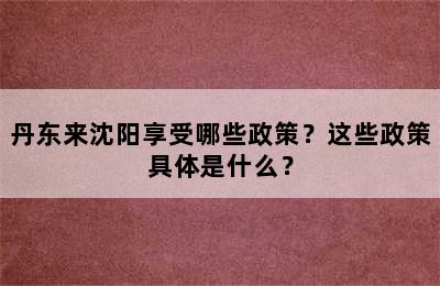 丹东来沈阳享受哪些政策？这些政策具体是什么？
