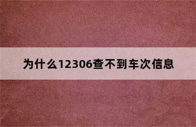 为什么12306查不到车次信息