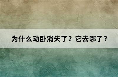 为什么动卧消失了？它去哪了？