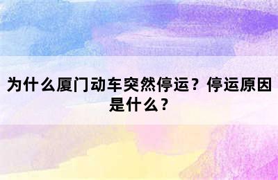 为什么厦门动车突然停运？停运原因是什么？