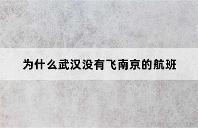 为什么武汉没有飞南京的航班