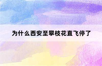 为什么西安至攀枝花直飞停了