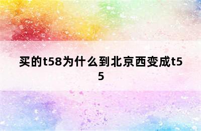 买的t58为什么到北京西变成t55