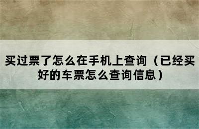 买过票了怎么在手机上查询（已经买好的车票怎么查询信息）