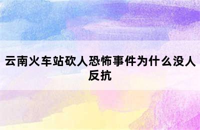 云南火车站砍人恐怖事件为什么没人反抗