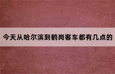 今天从哈尔滨到鹤岗客车都有几点的