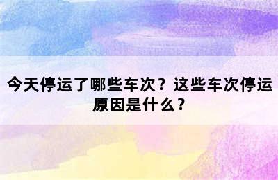今天停运了哪些车次？这些车次停运原因是什么？