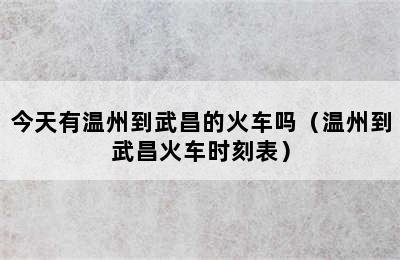 今天有温州到武昌的火车吗（温州到武昌火车时刻表）