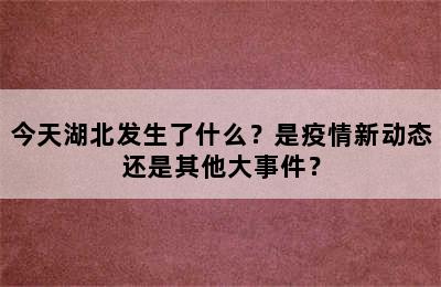 今天湖北发生了什么？是疫情新动态还是其他大事件？