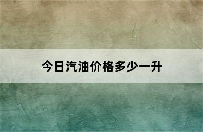 今日汽油价格多少一升