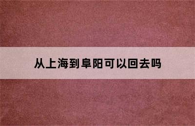 从上海到阜阳可以回去吗