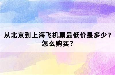 从北京到上海飞机票最低价是多少？怎么购买？