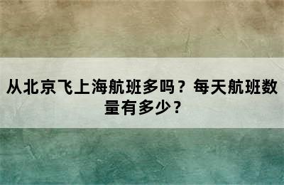 从北京飞上海航班多吗？每天航班数量有多少？