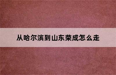 从哈尔滨到山东荣成怎么走