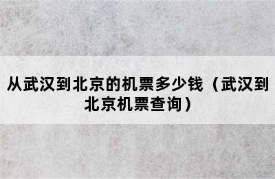 从武汉到北京的机票多少钱（武汉到北京机票查询）