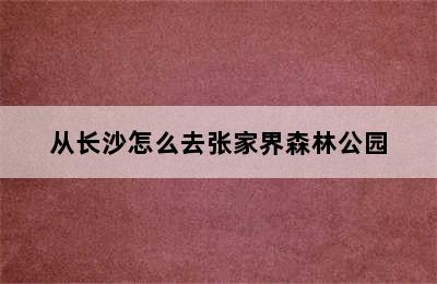 从长沙怎么去张家界森林公园