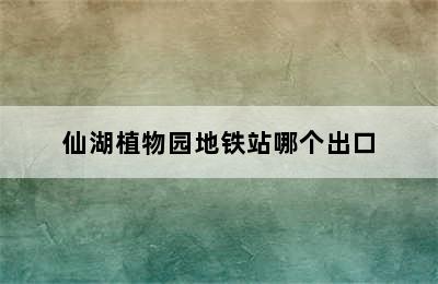 仙湖植物园地铁站哪个出口