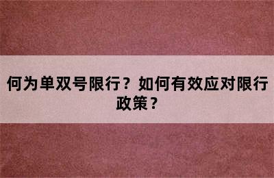 何为单双号限行？如何有效应对限行政策？