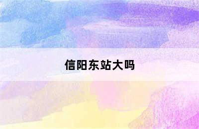 信阳东站大吗