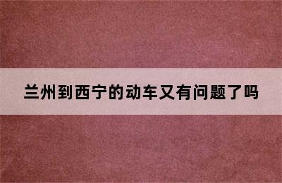 兰州到西宁的动车又有问题了吗