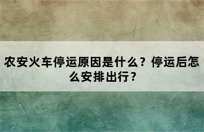 农安火车停运原因是什么？停运后怎么安排出行？