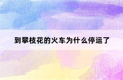 到攀枝花的火车为什么停运了